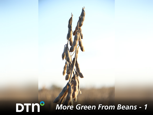 Research identifies ways for soybean growers to add bushels to every field. (DTN photo by Pamela Smith)